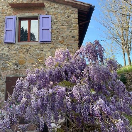 Antico Casale Il Fiorentino Montenero  ภายนอก รูปภาพ