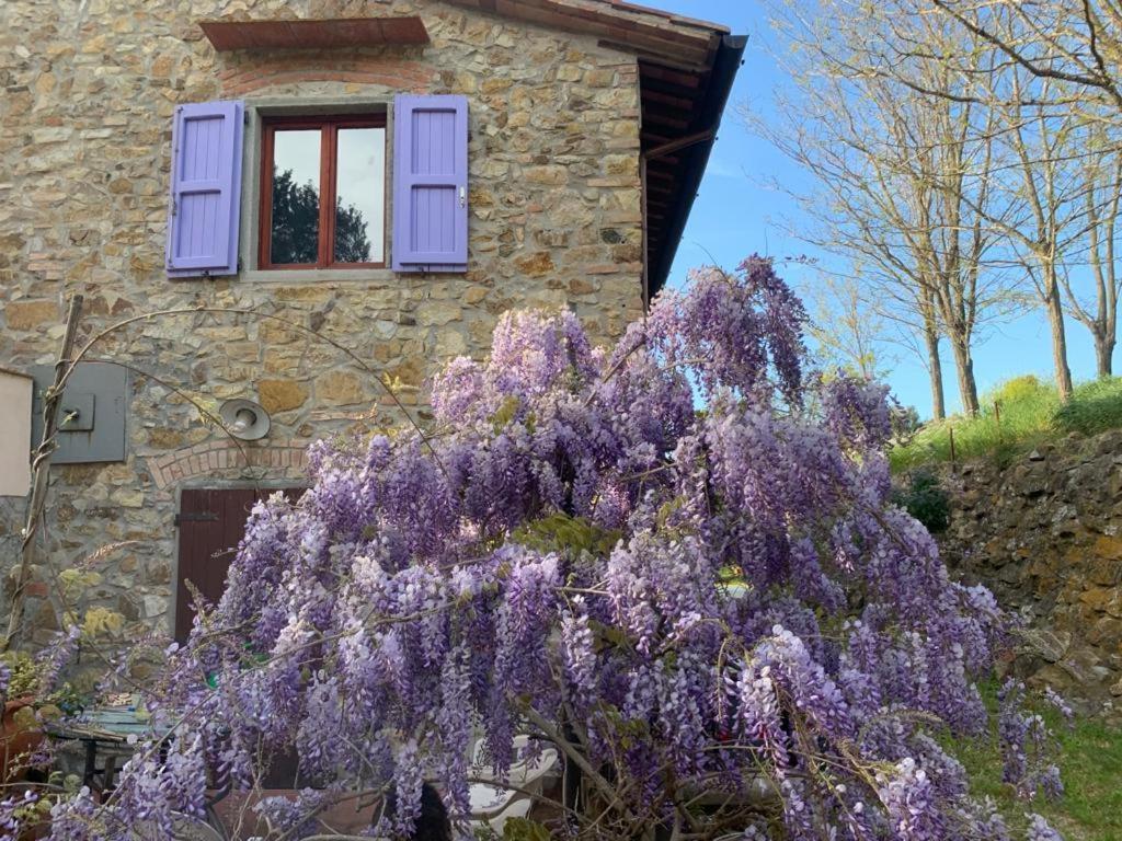 Antico Casale Il Fiorentino Montenero  ภายนอก รูปภาพ